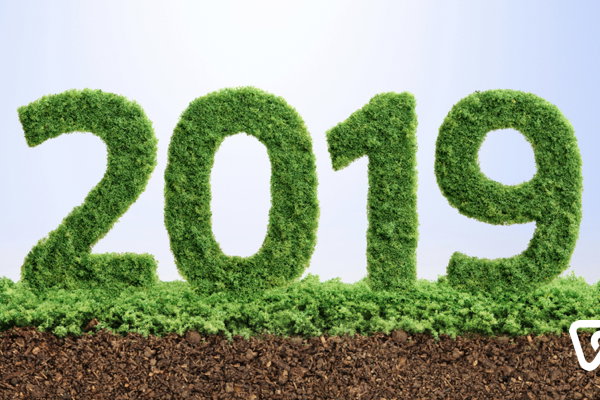 Steuererklärung 2019: Das sind die Neuerungen & Änderungen